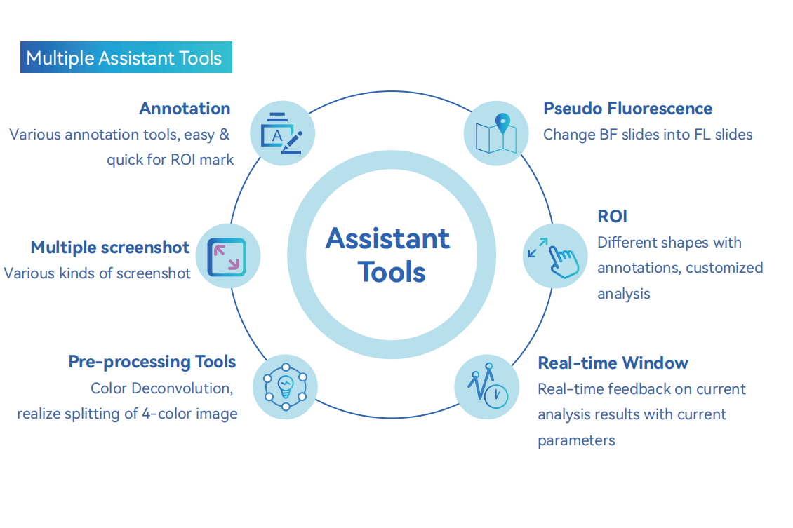WinQuant Quantification Software